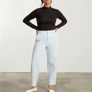 Everlane Utility Barrel Pant